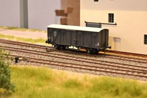 MGD 126